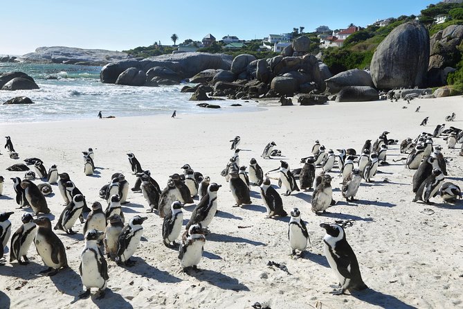 penguinsfb